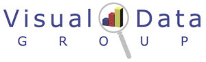 Visual data group Logo
