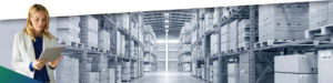 Cloud Inventory Microsoft Dynamics warehouse, industrial