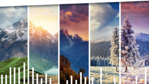 Weathering a Demand Forecast